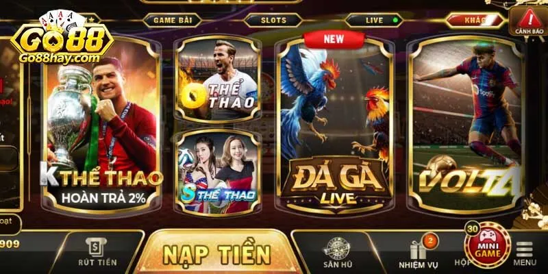 Mục tiêu dài hạn với sự phát triển nền tảng
